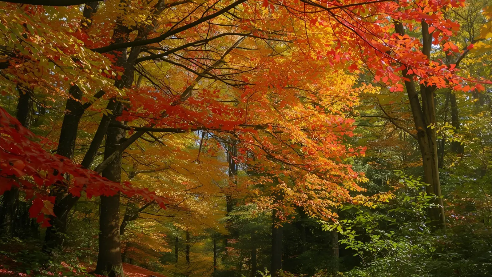 Autumn Puns