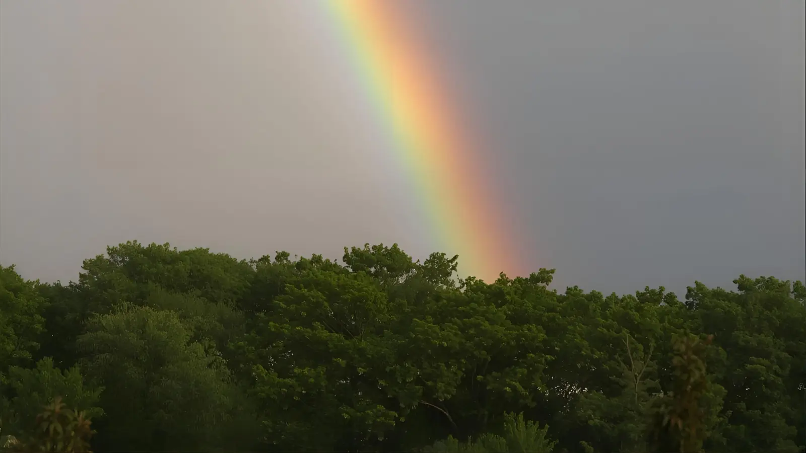 Rainbow puns