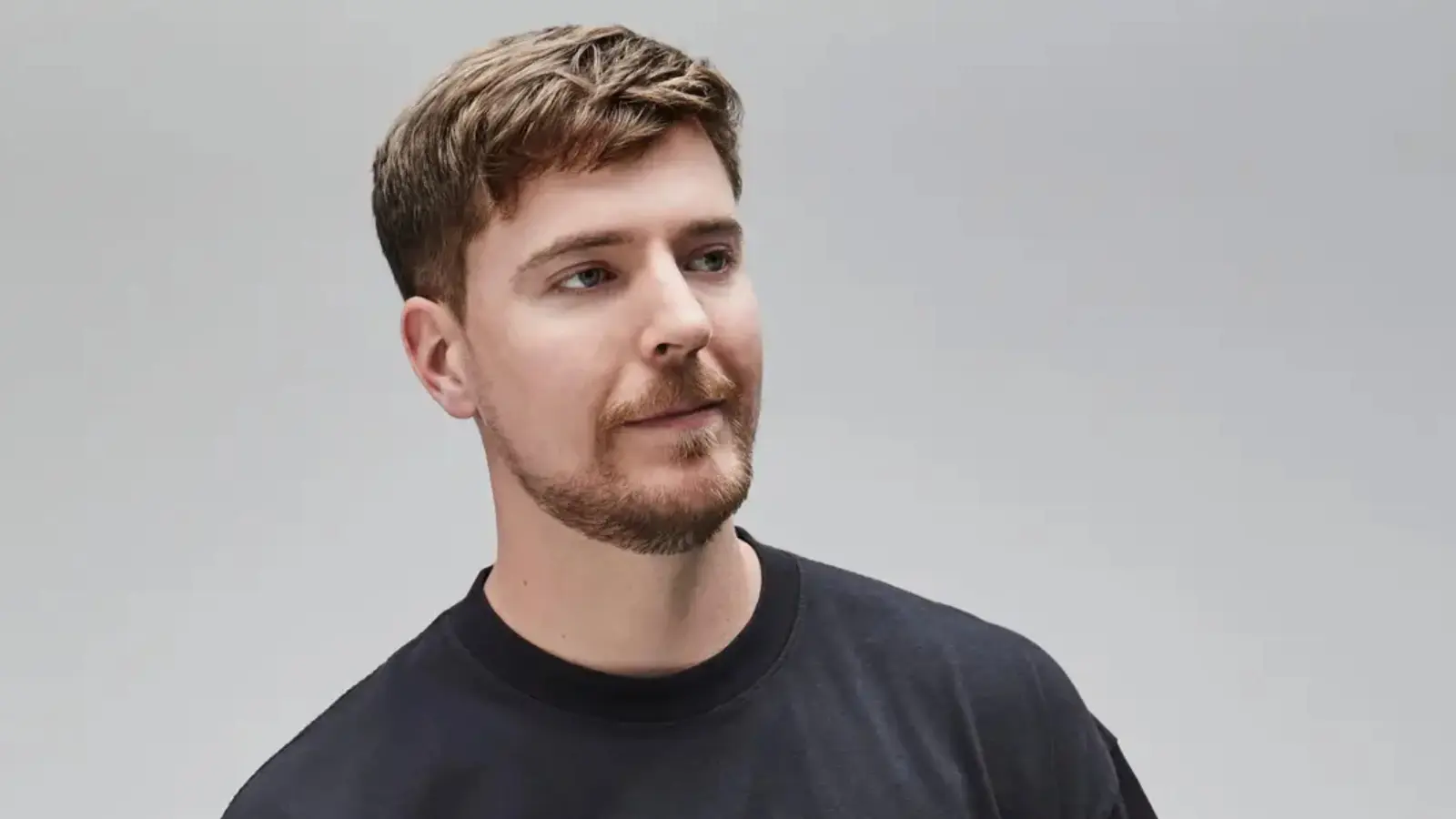 mr beast net worth